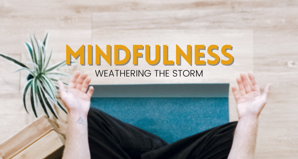 November blog: mindfulness